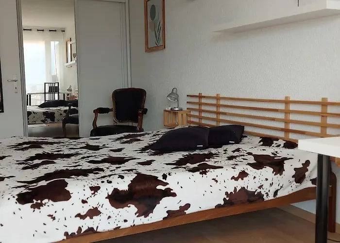 Vue Degagee Jeanne D'arc Daire *